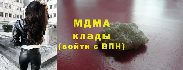 индика Бородино